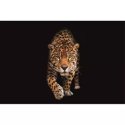 Gefleckte Wildkatze - Panther 300x200x2cm matt