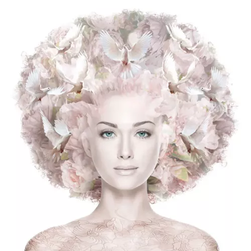 Taube Kraft Olivia 80x80x2cm