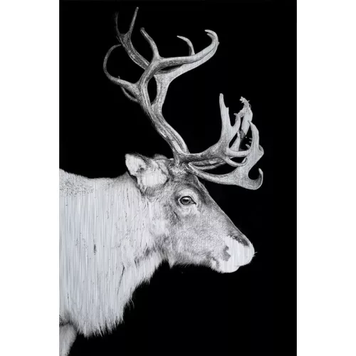 Rentier Alubrush 120x180x2cm