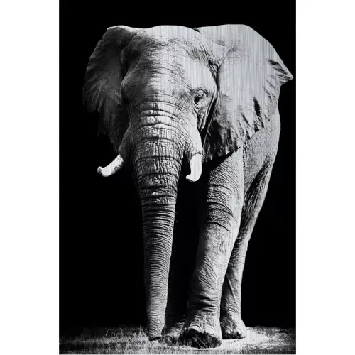 Elefanten-Alubürste 120x180x2cm