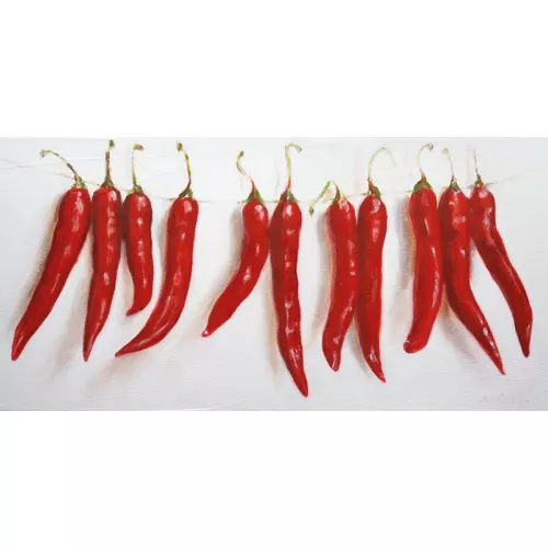 Paprika am Seil 80x160x2cm