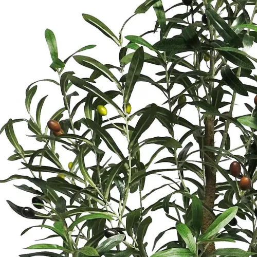 Payaa Olivenbaum Charlotte 150x40x20cm (110536)