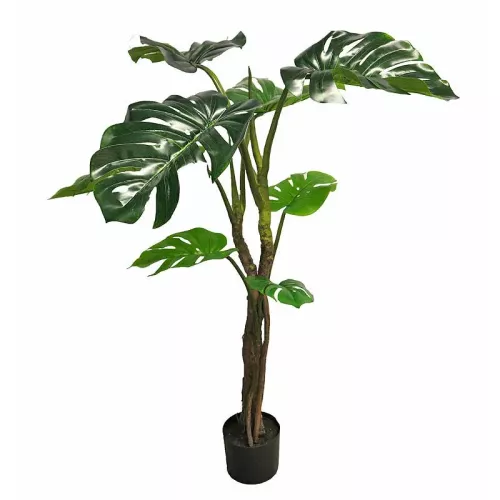 Monstera Jane Im Topf 50x30x130cm
