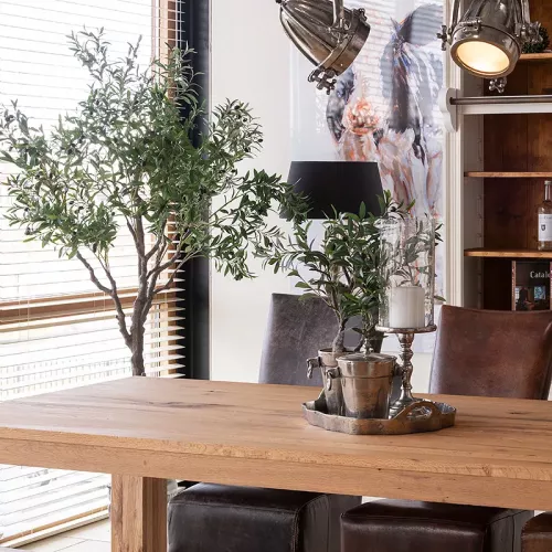 Payaa Olivenbaum 70x50x40cm (110529)